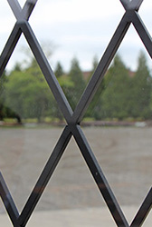 Wrought Iron between glass