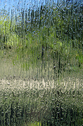 Rain Glass